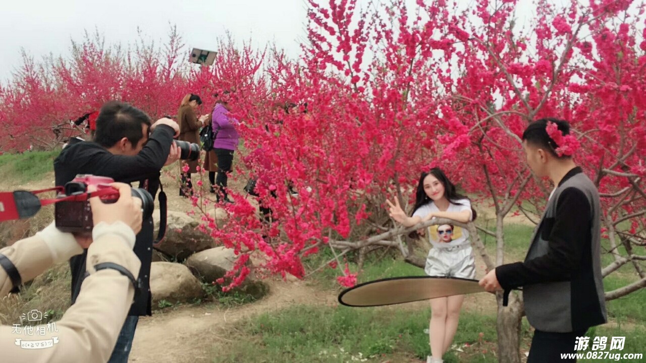 今天和《玩转巴中》节目组一起来到苏山坪,赏桃花,谈